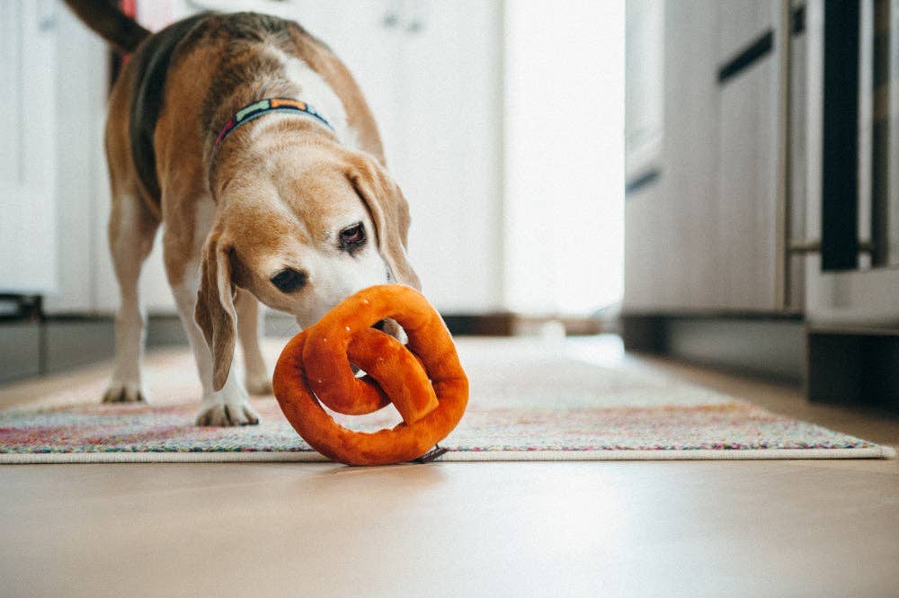 Poochie Pretzel Squeaky Dog Toy