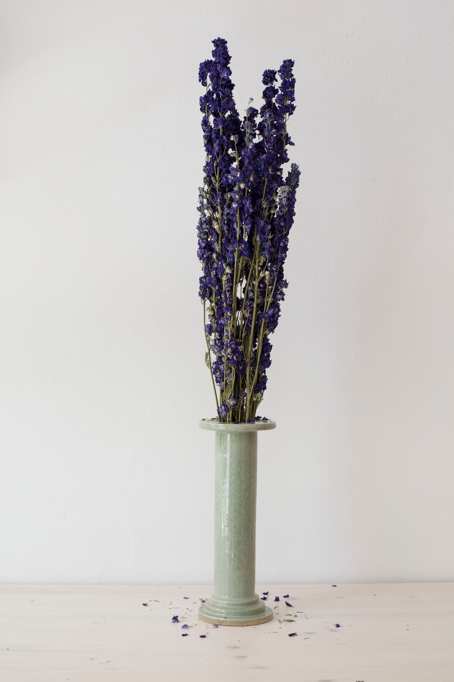Blue Delphinium