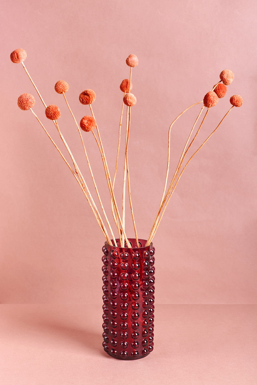 Billy Button - Orange