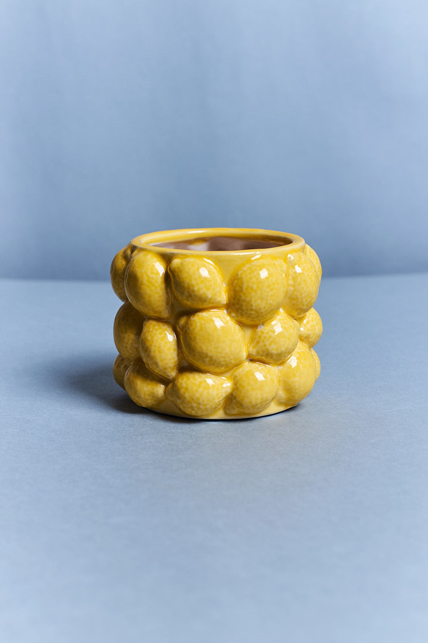 Lemon Flower Pot