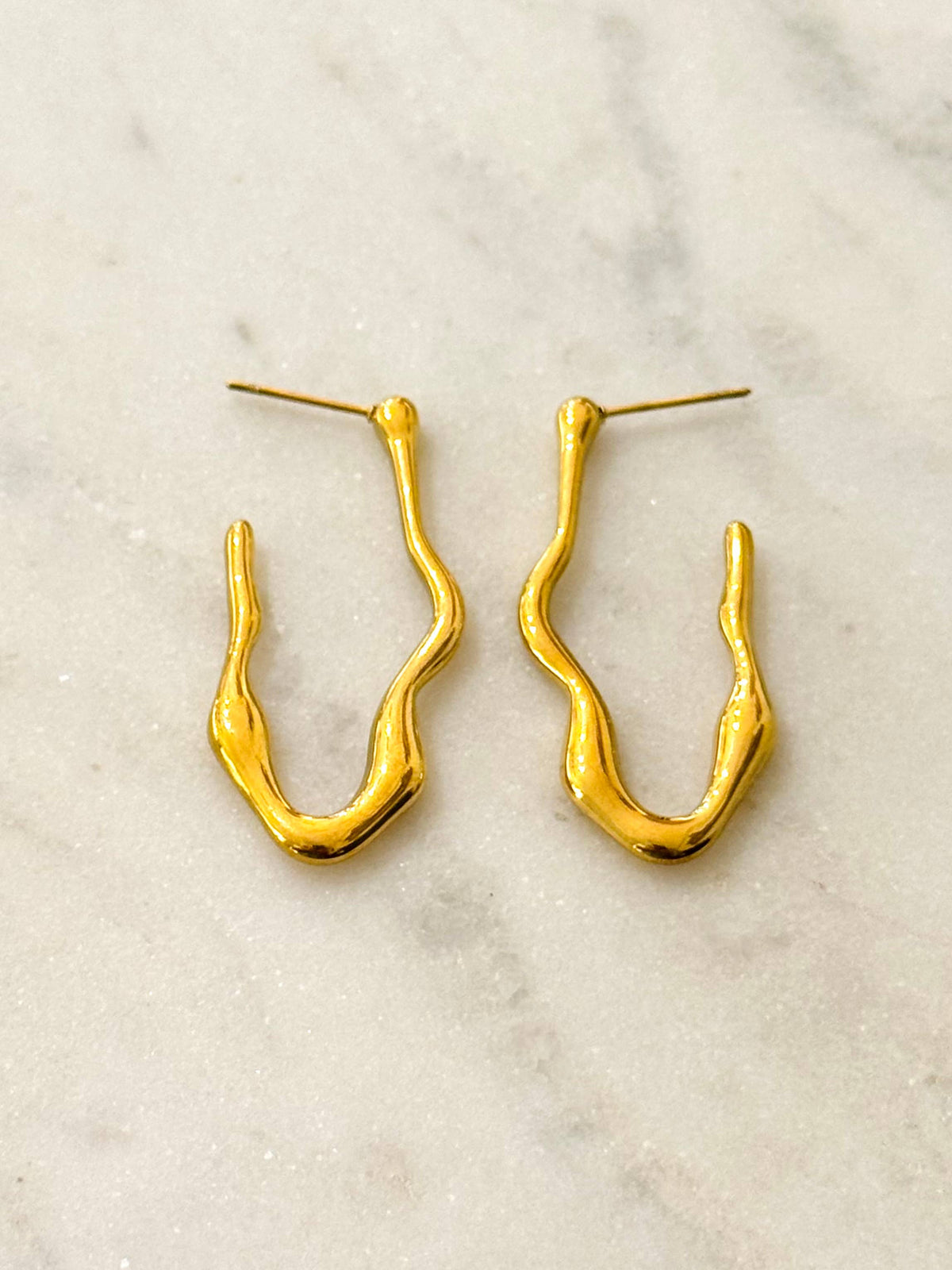 Ctril Stainless Steel Earrings