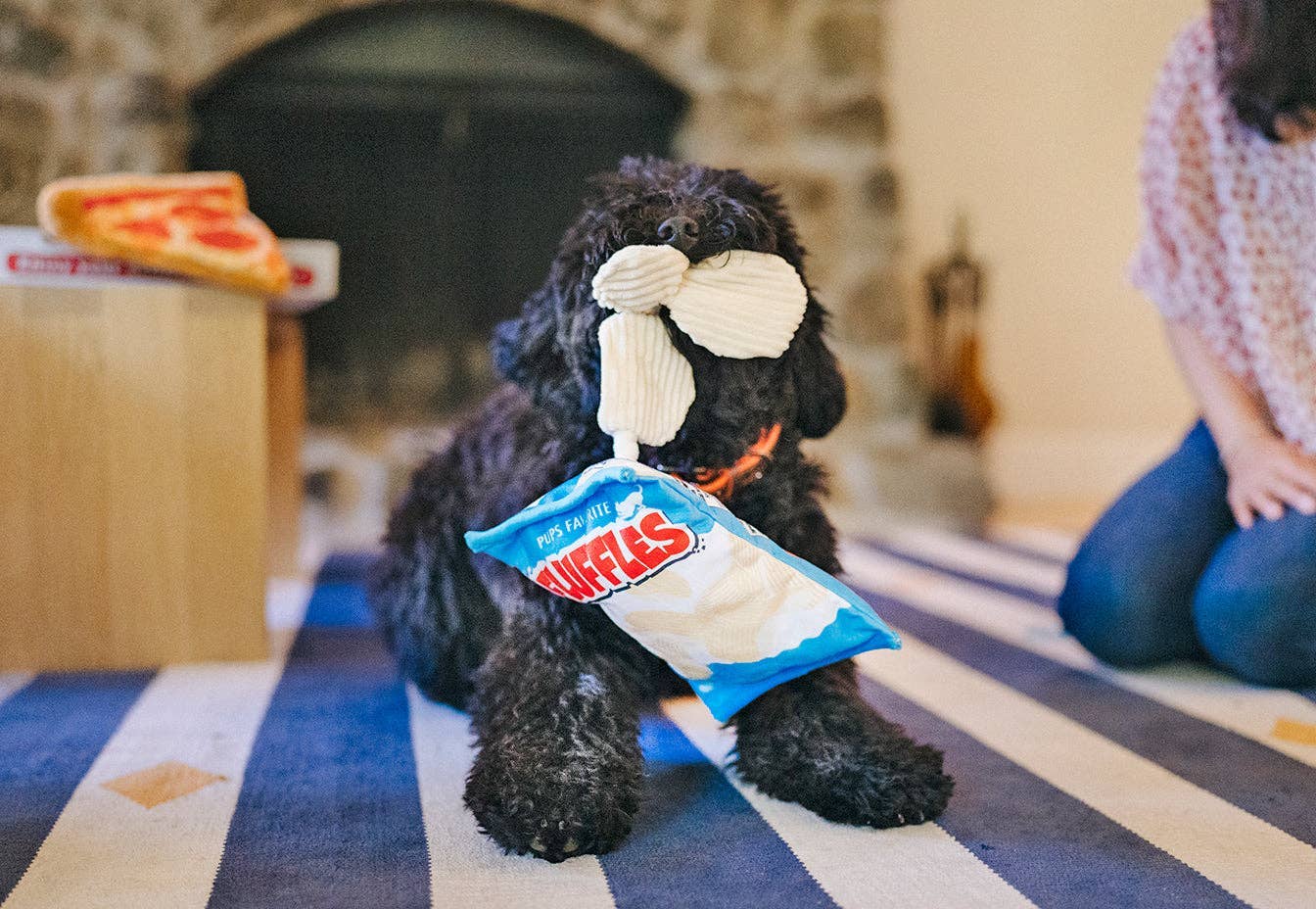 Fluffles Chips Squeaky Dog Toy