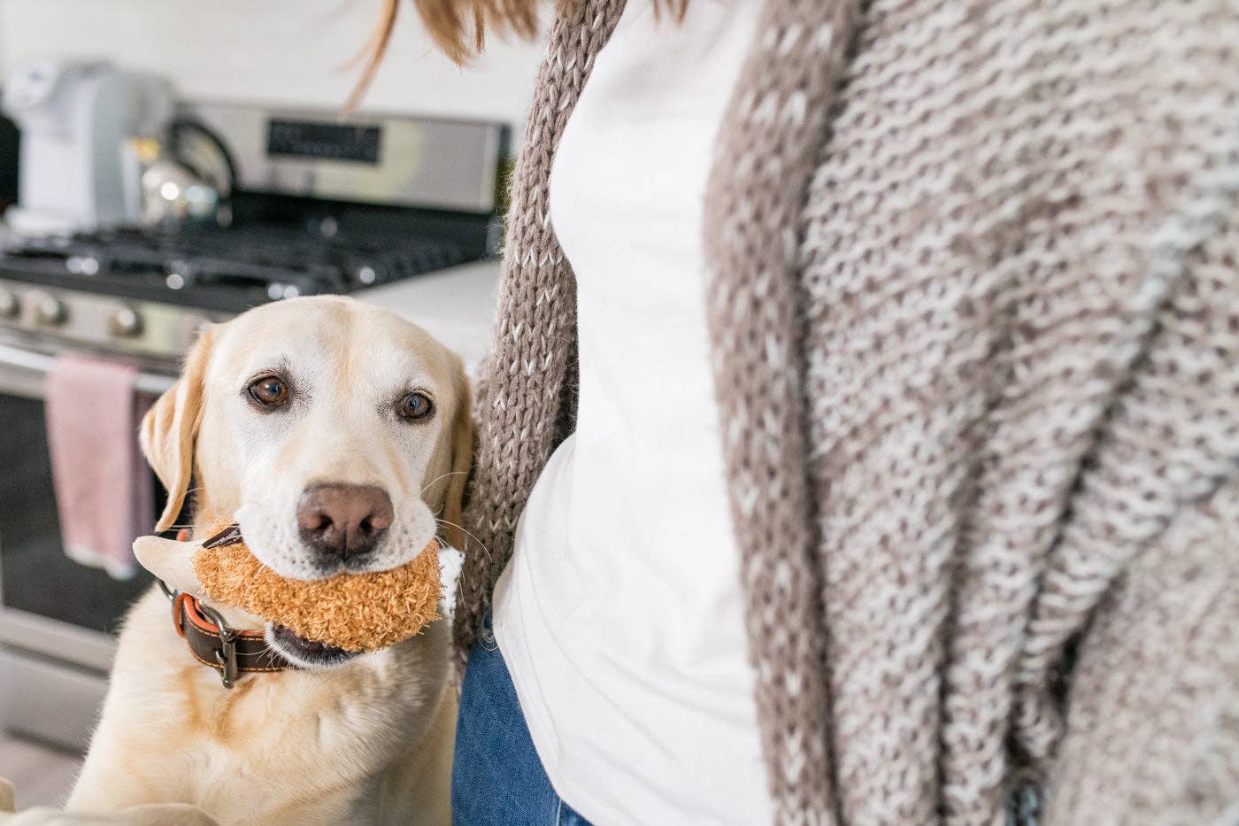 American Classic Fluffy's Fried Chicken Dog Toy