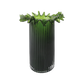 Froufrou Glass Vase - Green