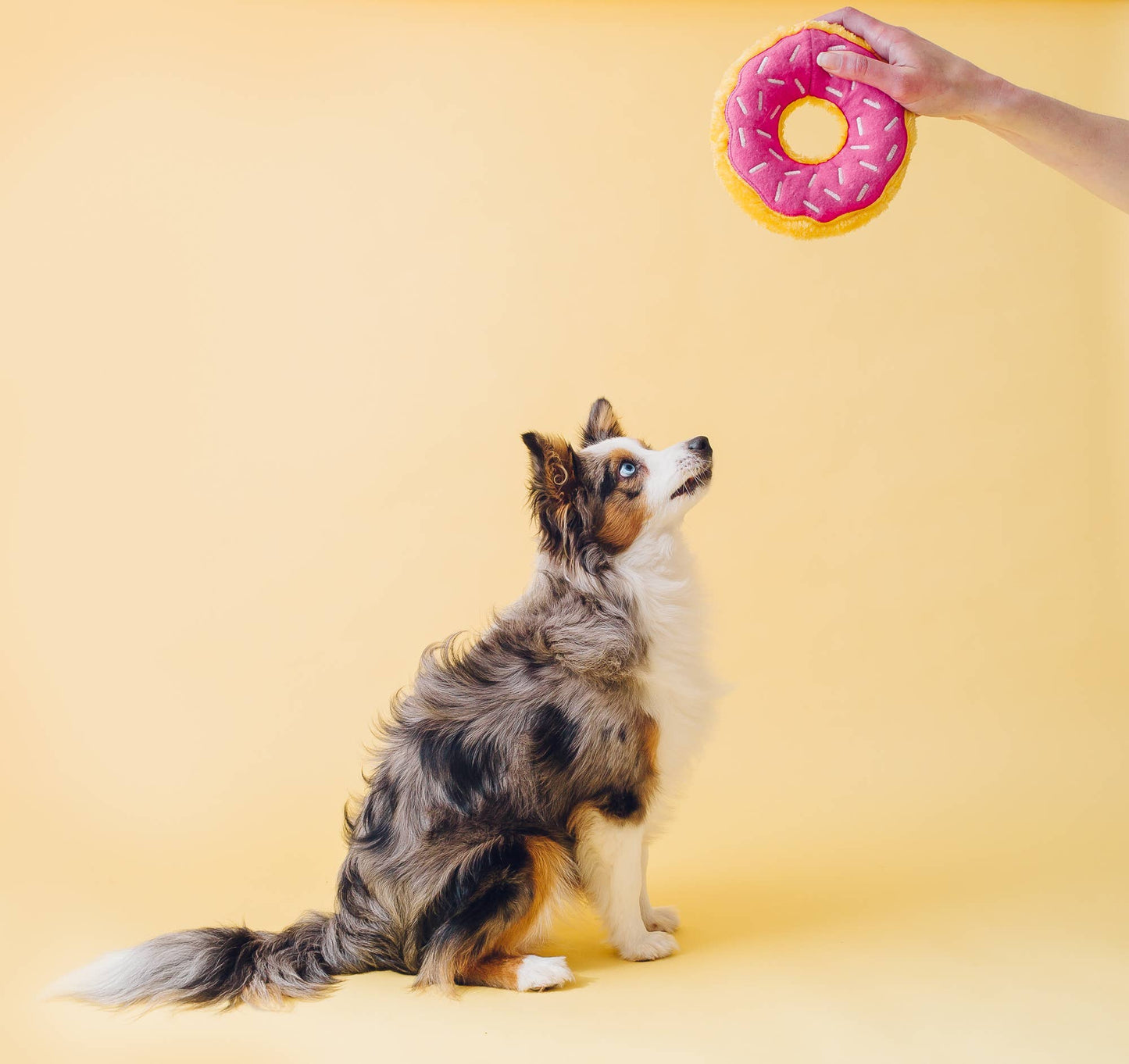 Strawberry Sprinkle Donut Dog Toy
