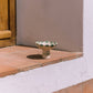 Stemmed Glass