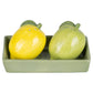 Lemon & Lime Salt and Pepper Shakers