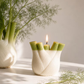 Realistic Fruit & Vegetable Candles