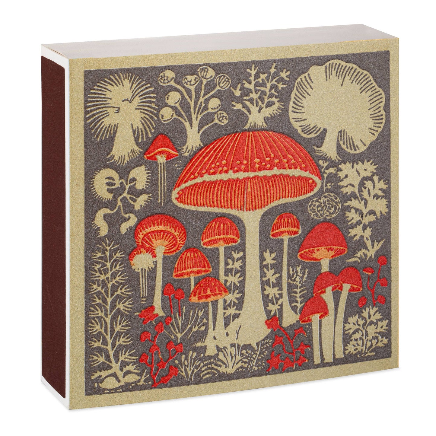 Mushrooms Safety Matches