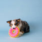 Strawberry Sprinkle Donut Dog Toy