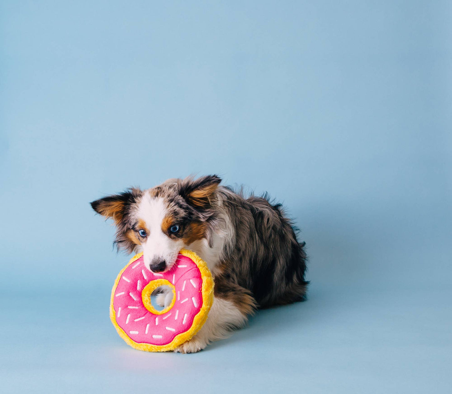 Strawberry Sprinkle Donut Dog Toy