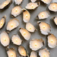 Coastal Beach Style Oyster Shell Event Candles