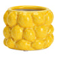 Lemon Flower Pot