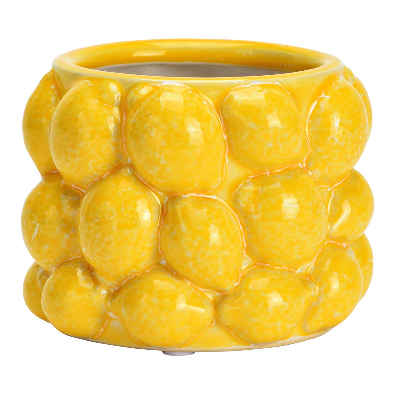 Lemon Flower Pot