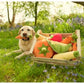 Garden Fresh Carrot - Dog Toy
