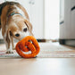 International Classic Poochie Pretzel - Dg Toy
