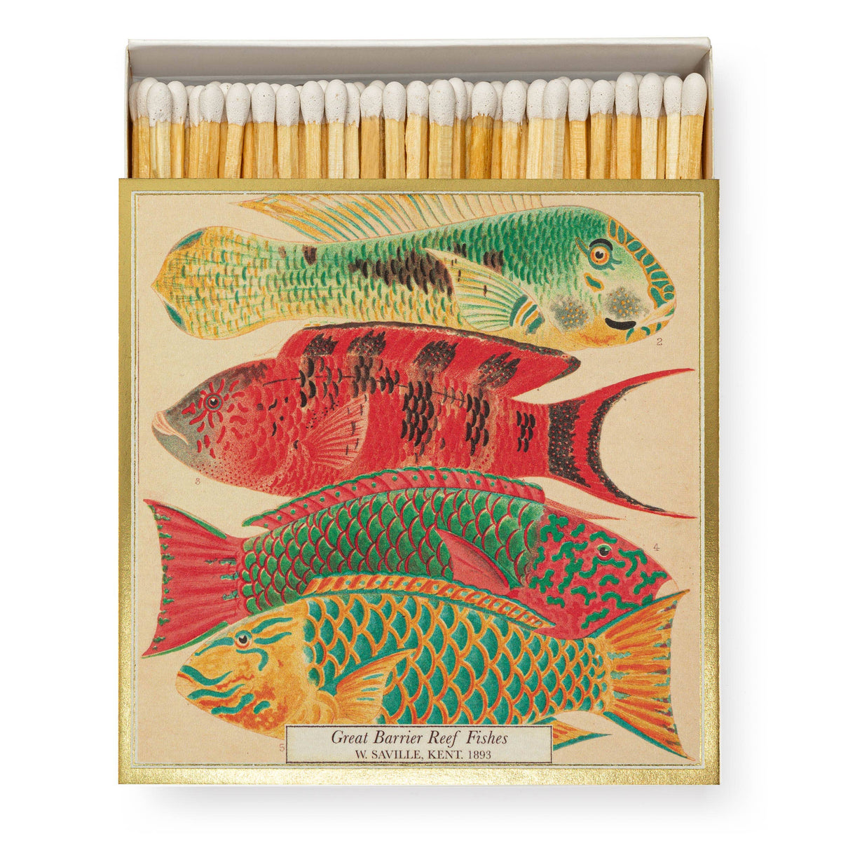 Fish Safety Matches