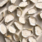 Coastal Beach Style Oyster Shell Event Candles