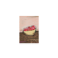 "Pomegranate Bowl" Framed Print