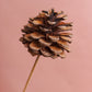 Pine Cone Stick