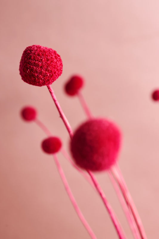 Billy Button - Hot Pink