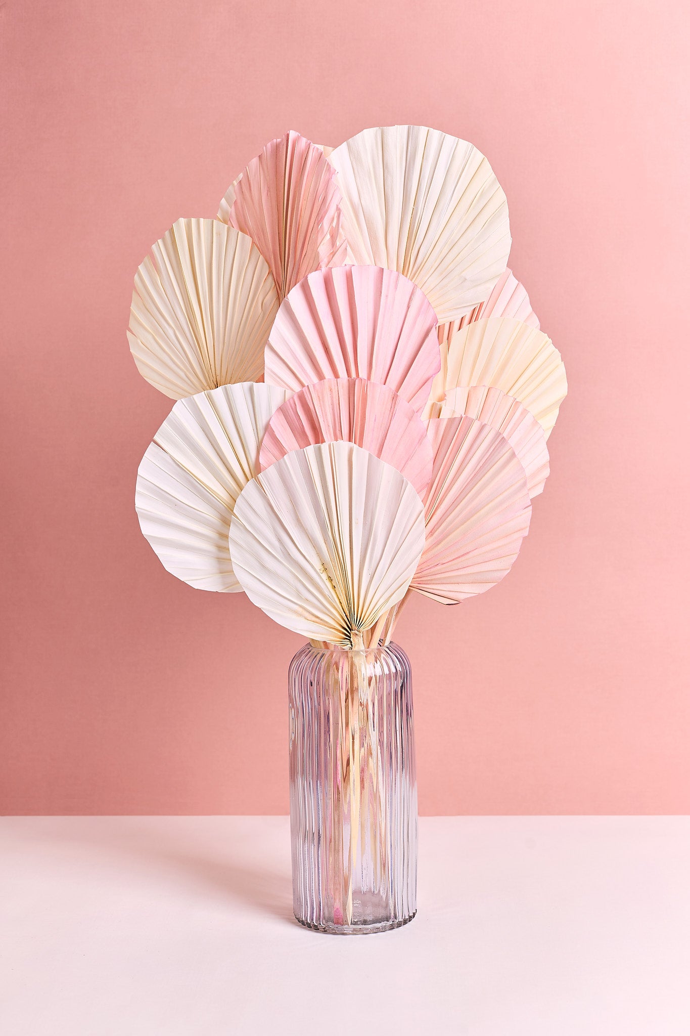 Lanzenpalme