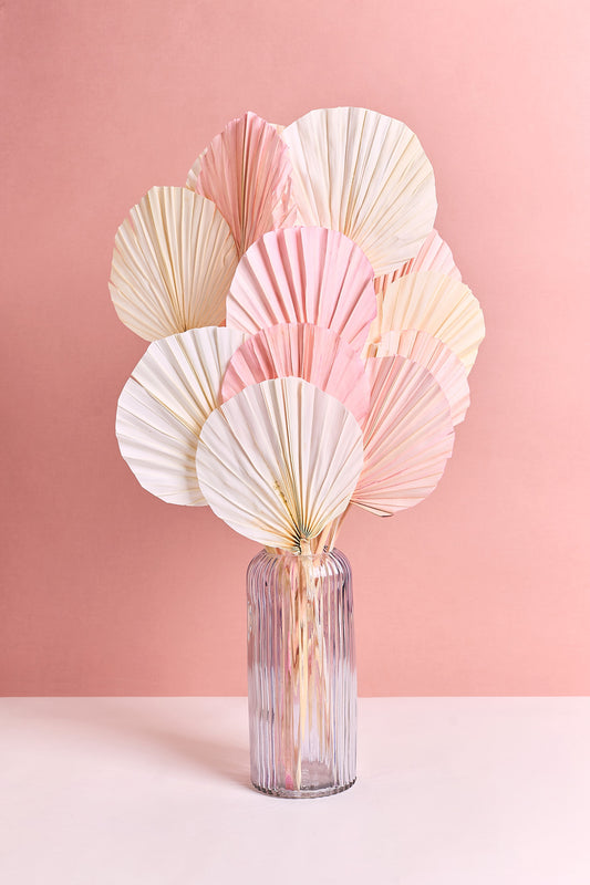 Lanzenpalme