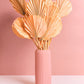 Lanzenpalme