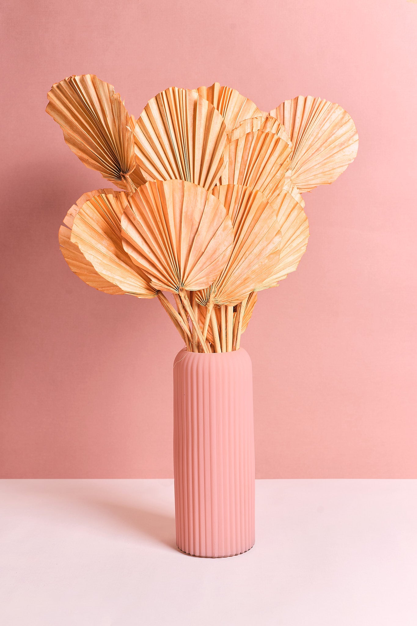 Lanzenpalme