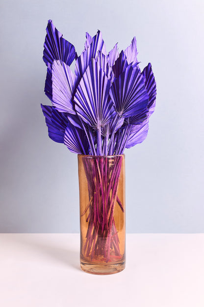 Lanzenpalme