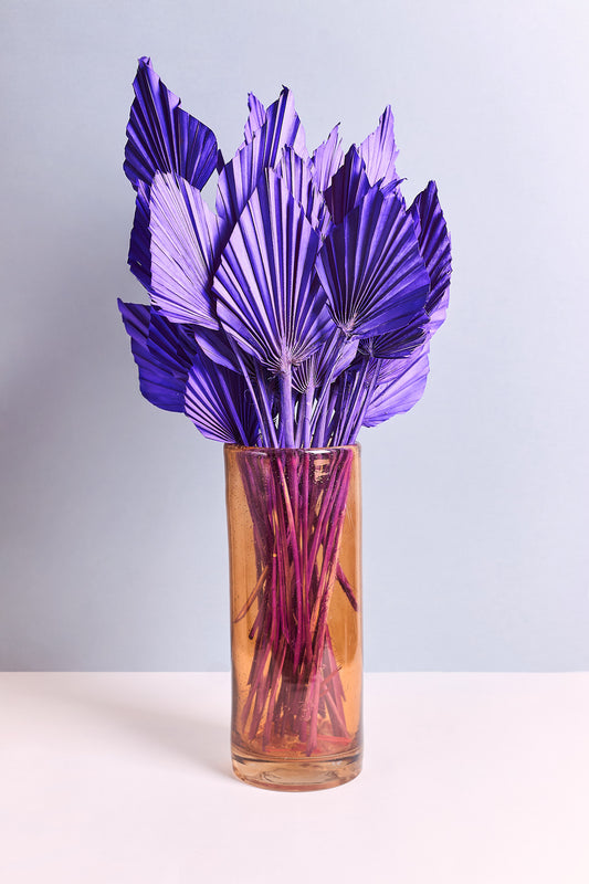 Lanzenpalme