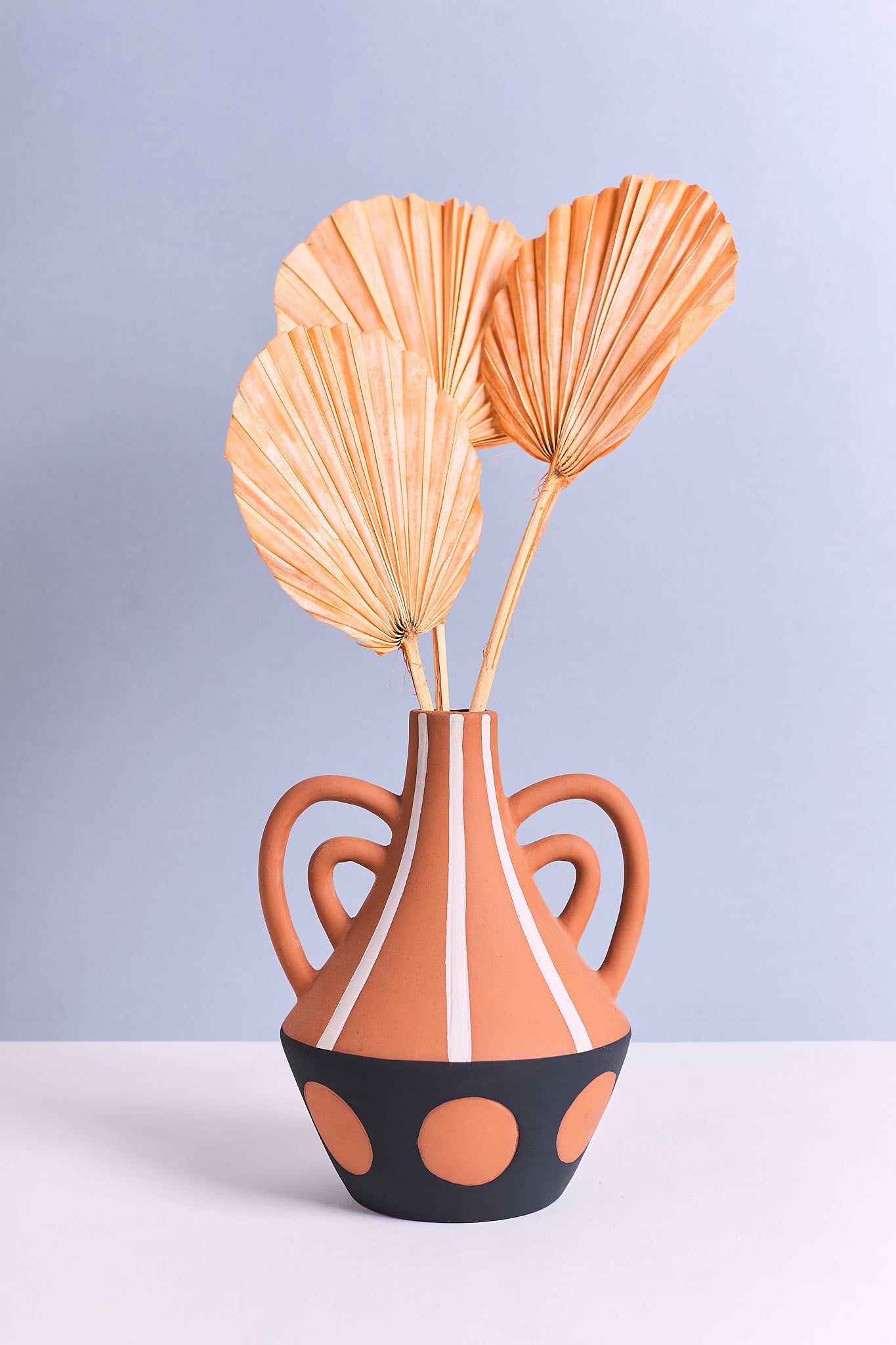 Lanzenpalme