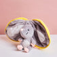 Lemon Mouse Toy