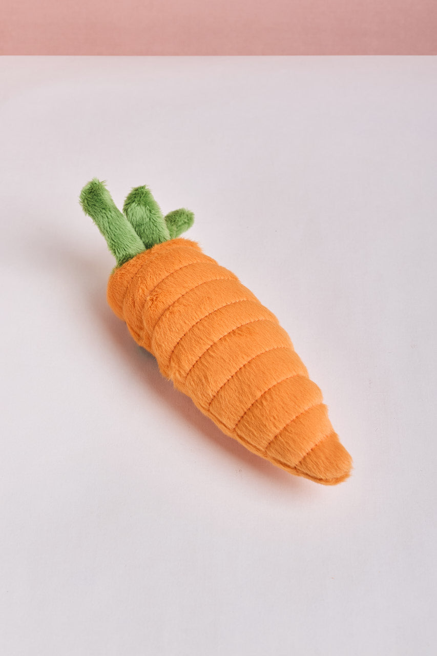 Garden Fresh Dog Carrot
