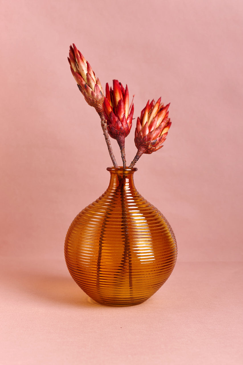Miss Honey Glass Vase
