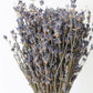 Fragrant Lavender