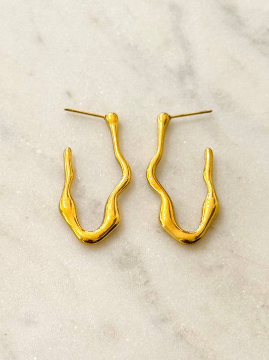 Ctril Stainless Steel  Earrings  