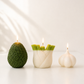 Realistic Fruit & Vegetable Candles