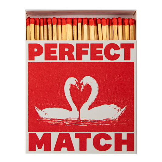 I Like You Swans Safety Matches