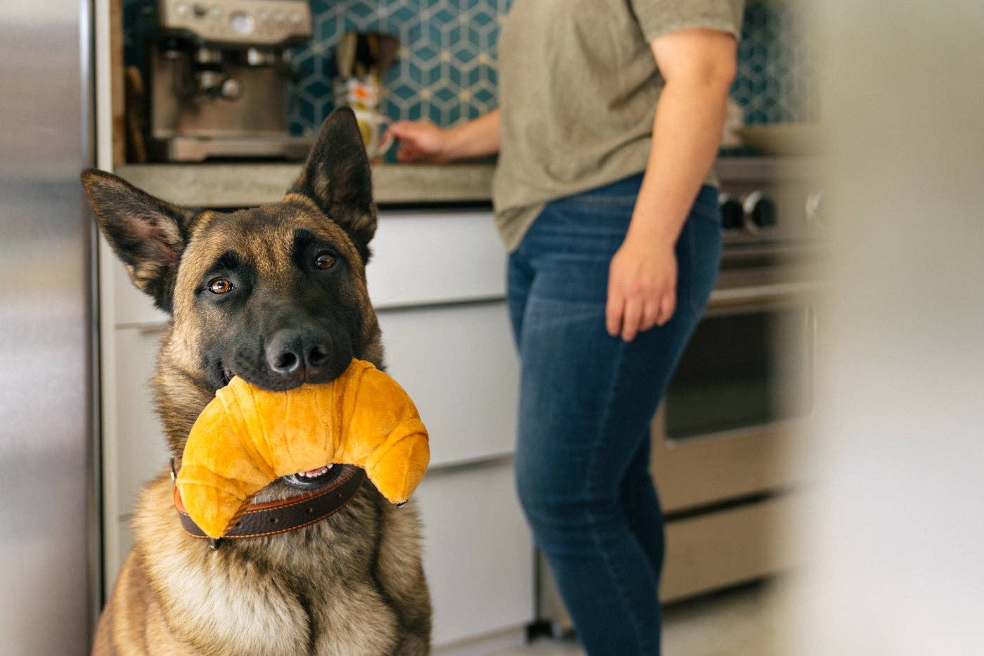 Barking Brunch Pup's Pastry - Dog Toy