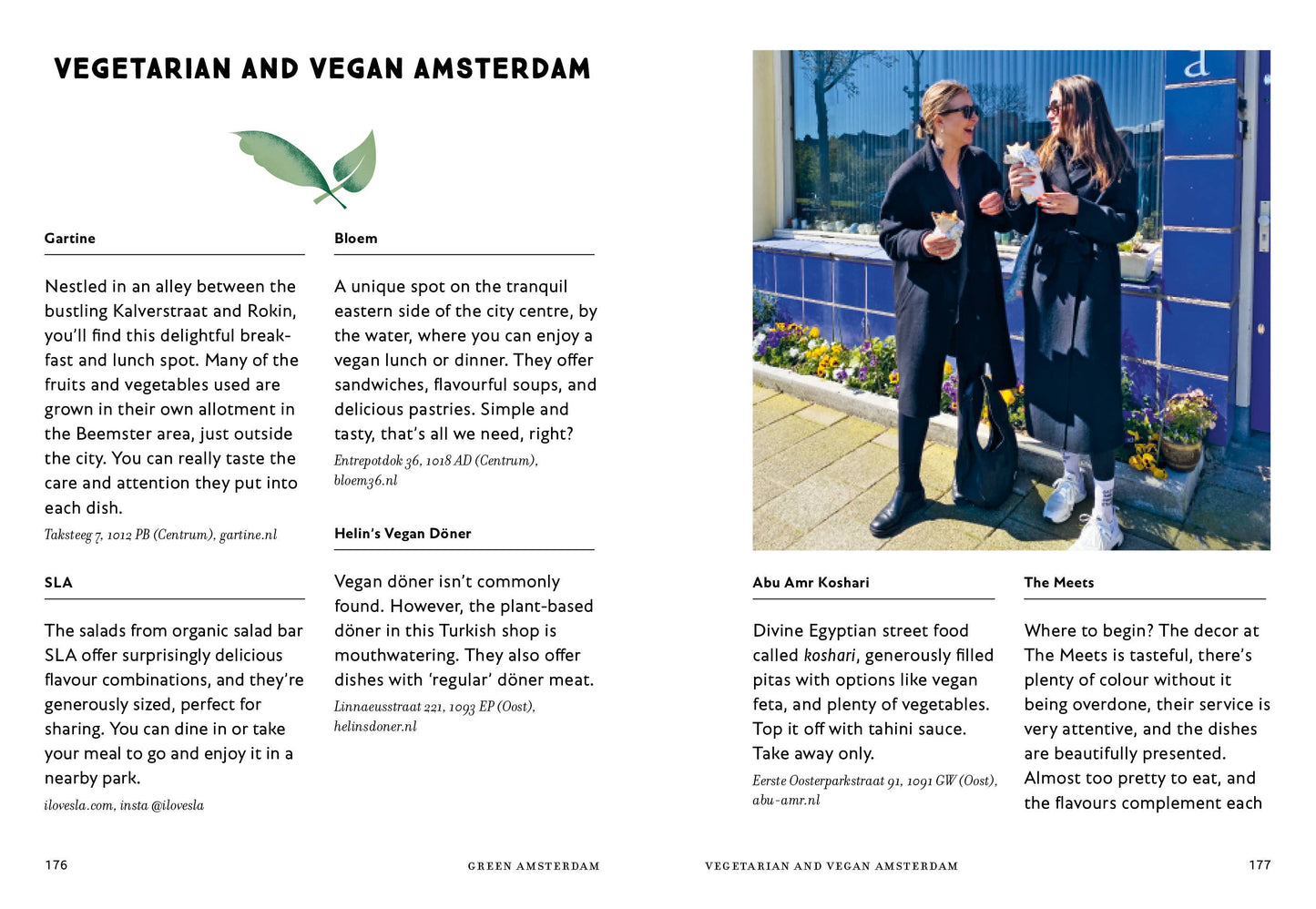 The Amsterdam Guide