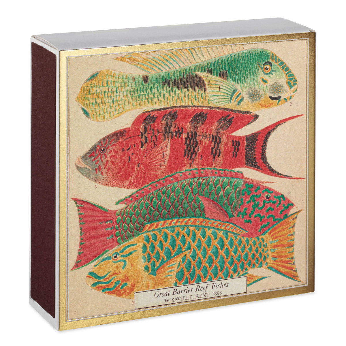 Fish Safety Matches
