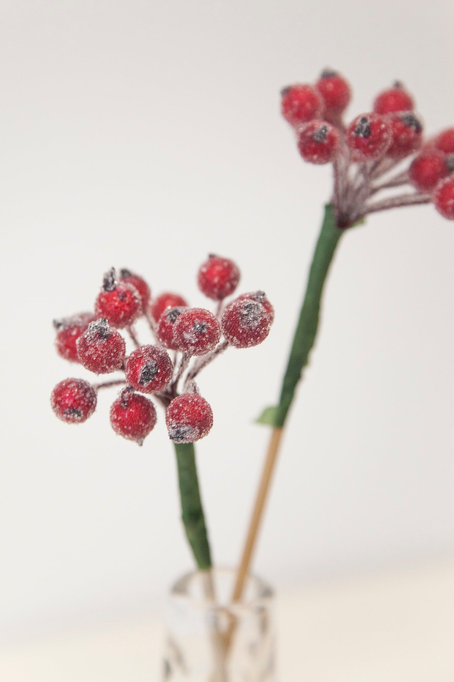 Crystalized Berries
